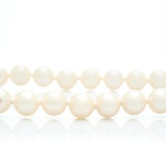 Mini Pearl Necklace 5,5 AAA