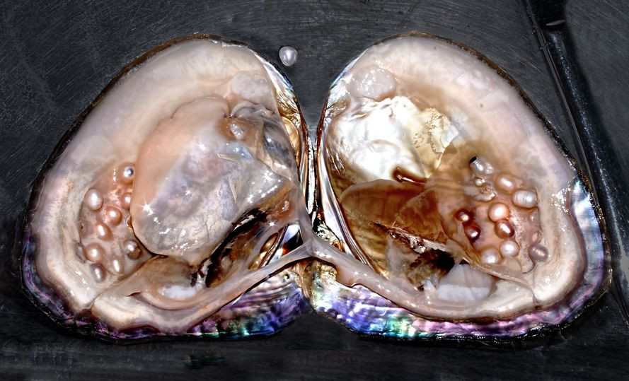 Interessantes über Perlen