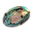 Abalone-Schalen (Paua)